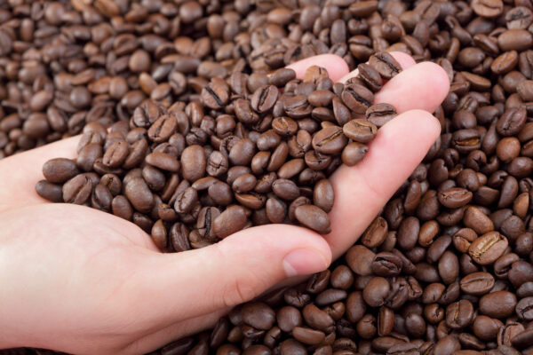 caffè monorigine